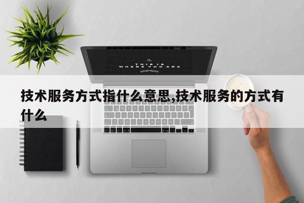 技术服务方式指什么意思,技术服务的方式有什么