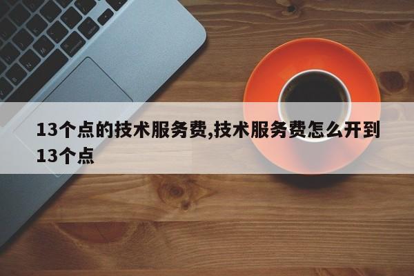 13个点的技术服务费,技术服务费怎么开到13个点