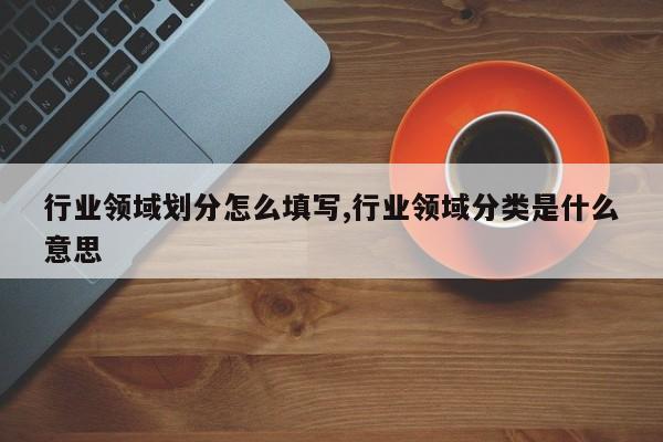 行业领域划分怎么填写,行业领域分类是什么意思