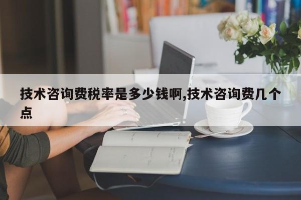 技术咨询费税率是多少钱啊,技术咨询费几个点