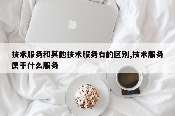 技术服务和其他技术服务有的区别,技术服务属于什么服务
