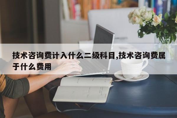 技术咨询费计入什么二级科目,技术咨询费属于什么费用