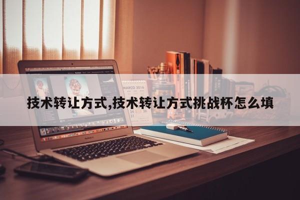 技术转让方式,技术转让方式挑战杯怎么填