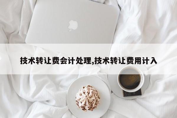 技术转让费会计处理,技术转让费用计入