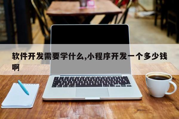 软件开发需要学什么,小程序开发一个多少钱啊